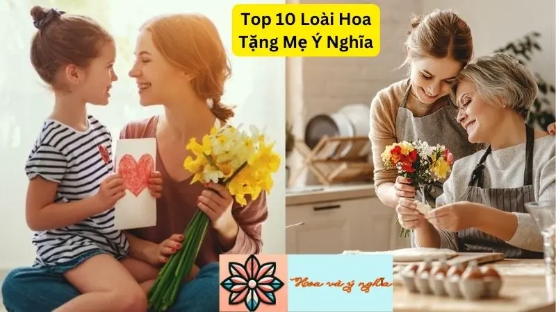 Top 9 Loài Hoa Tặng Mẹ Ý Nghĩa