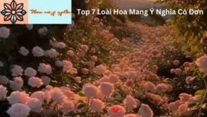 Top 7 Loài Hoa Mang Ý Nghĩa Cô Đơn