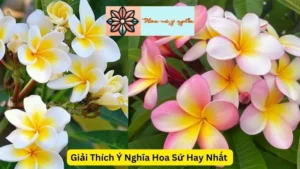 Giải Thích Ý Nghĩa Hoa Sứ Hay Nhất