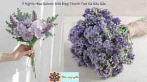 Ý Nghĩa Hoa Salem: Nét Đẹp Thanh Tao Và Sâu Sắc