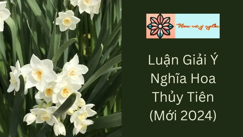 Luận Giải Ý Nghĩa Hoa Thủy Tiên