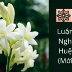 Luận Giải Ý Nghĩa Hoa Huệ Trắng (Mới 2024)