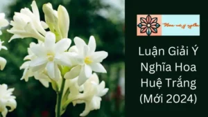 Luận Giải Ý Nghĩa Hoa Huệ Trắng