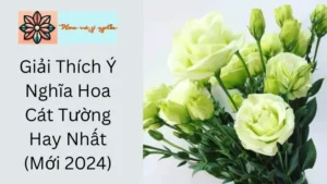 Giải Thích Ý Nghĩa Hoa Cát Tường Hay Nhất