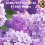 Khám Phá Ý Nghĩa Hoa Tử Đinh Hương