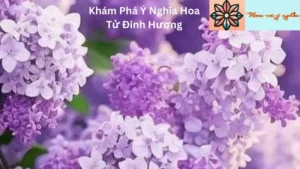 Khám Phá Ý Nghĩa Hoa Tử Đinh Hương